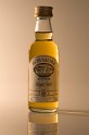 DSC00498_v