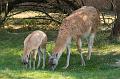 DSC02772_1