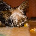DSC04080_1