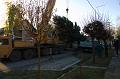 DSC03664