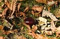 DSC03408