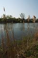 DSC05150_1