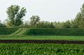 DSC05212_1