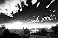 DSC06824_2_filtered