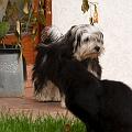 DSC00725_1
