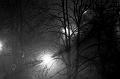 DSC00843_1