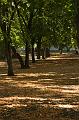 DSC00320_1