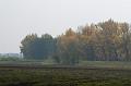 DSC00573_1