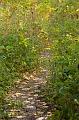 DSC00578