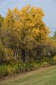 DSC00602