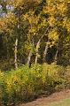 DSC00620_1