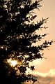 DSC00124b