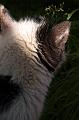 DSC03115_1