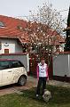 DSC01799