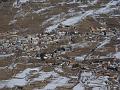 DSC04061_21