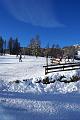 DSC04309