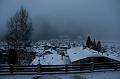 DSC03583
