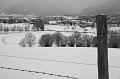DSC04334_1