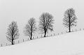 DSC04337_1