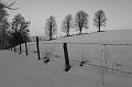 DSC04400_1