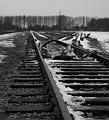 DSC02054_01