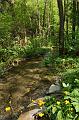 DSC05520_1